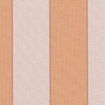 Citel DOCRIL - 00368 BONE PUMPKIN Hennie's Zonwering