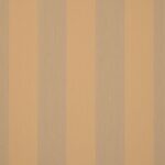 Suncircle Orchestra Pencil Yellow D323 Hennie's Zonwering